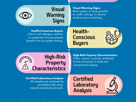 Infographic from Turn Key Property Inspectors explaining when to consider mold and air quality testing, including musty odors, water damage history, visible mold, high-risk property features, and the testing process with surface sampling and air analysis.