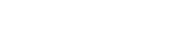 Codec Security Logo_White.webp