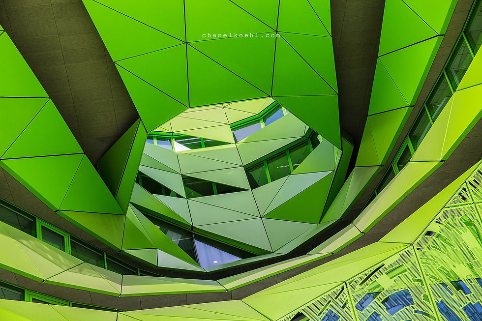 archi (27)