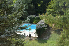 arbres piscine.jpeg