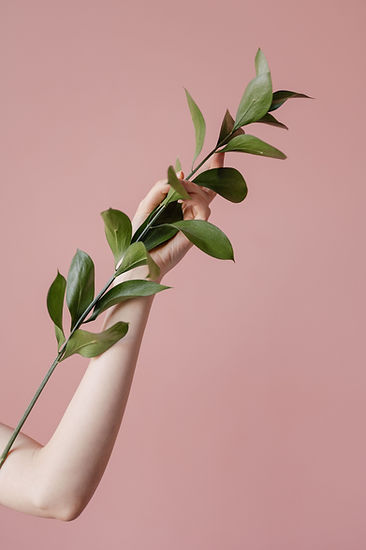 pexels-shvets-production-7973299.jpg