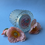 Thumbnail: Bloma Candle
