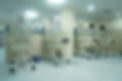 DSC00958.jpg
