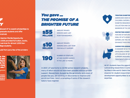 5 Key Elements of Your Endowment Report
