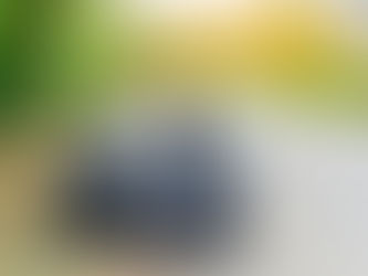 Spring Cleaning: Where to Start