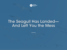 The Seagull Has Landed—And Left You the Mess