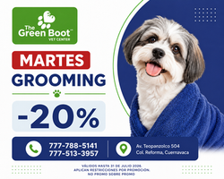 martesdegrooming