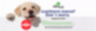 banner1.jpg