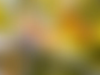 Hw Homeroom: Selling in Fall? This'll Help.