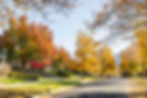 Yalecrest street, Salt Lake City