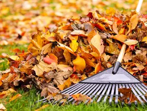 Hw Homeroom: Winter Home Prep