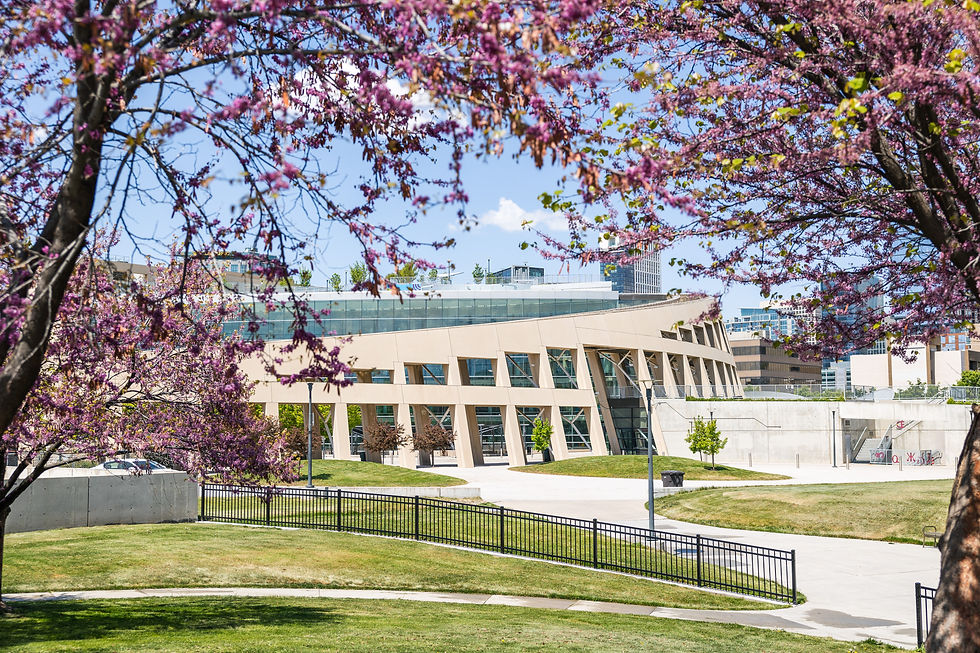 Modern building with large windows surrounded by green lawns and purple-flowering trees under a clear blue sky. Urban setting in the background.