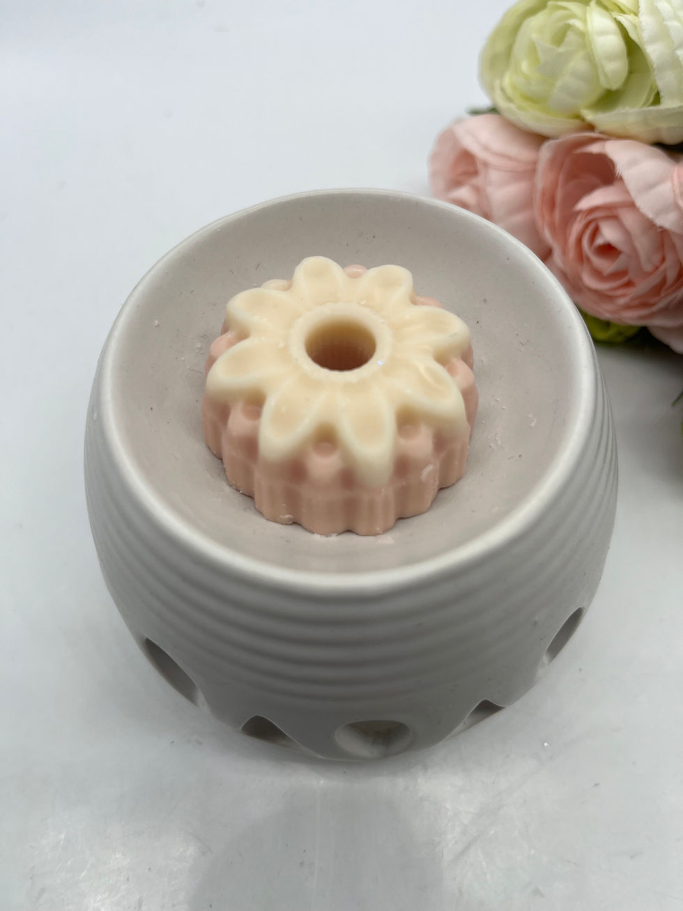 Miniature : Gerbera
