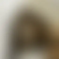 Muska ~3-aastane kassineiu (Tallinn)