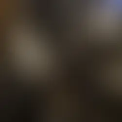 Kismet & Kiku - ~8- kuused kassineiud (Tartu)