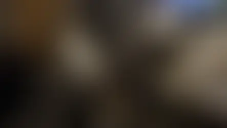 Kismet & Kiku - ~8- kuused kassineiud (Tartu)