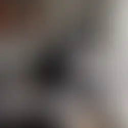 Paula-Ly ~1-aastane kassineiu (Tallinn)