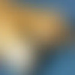 Harry - ~5-6-aastane kassipoiss (Tallinn)