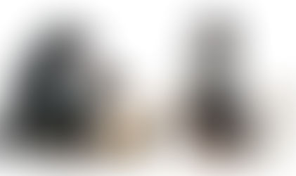 Kui endalgi on raske: kas kasvavad hinnad muudavad lemmiklooma eest hoolitsemise luksuseks?