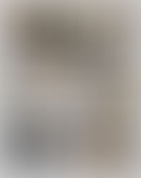 Mai, juuni, juuli & august 2025 - Kiisude statistika