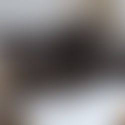 Mila - ~3-aastane kassineiu (Ida-Virumaa, Sillamäe)