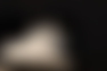 Fina - ~1-aastane kassineiu (Tartu)