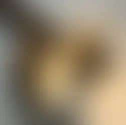 Lila - ~4-aastane kassineiu (Kassituba, Nõmme)