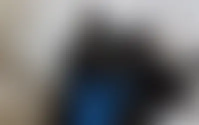 OOTAMATU ⟩ Rängalt vigastatud kass leidis loomakliinikust endale uue perenaise