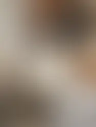 Miku - ~4-aastane kassipoiss (Saku vald)