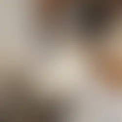 Miku - ~4-aastane kassipoiss (Saku vald)