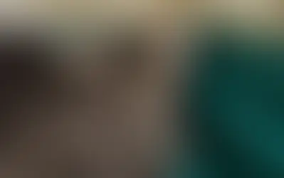 Õõvastav vaatepilt: mahajäetud Lasnamäe korterist avastati 30 tõukassi