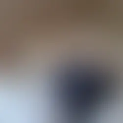 Miku - ~1-aastane kassipoiss (Mustvee)