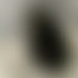 Emane kass - (Kibuna)