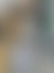 Miu ~5-aastane kassineiu (Tallinn)