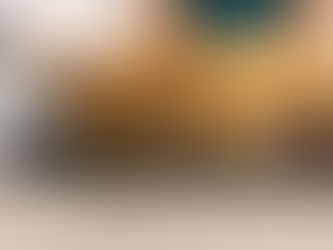 Prügisse uppuvas Viljandi majas hoiti aastaid kohutavas olukorras kassikolooniat