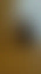 Emane kass -~7-aastane (Maardu)