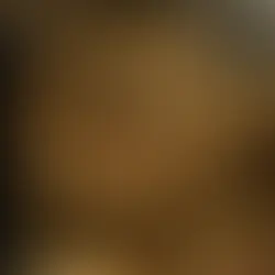 Isane kass - (Lääne-Harju vald, Ohtu küla)