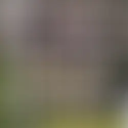 Emane kass - (Varbuse)