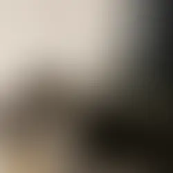 Pixel - ~3 -kuune kassitüdruk (Tartu)