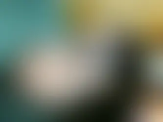 Sonja - ~7-aastane kassineiu (Valgamaa, Tallinn-Muraste)