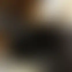 Emane kass -~2-aastane (Lääne-Harju vald, Paldiski)