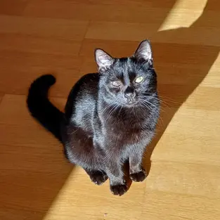 Captain Morgan -~2-aastane kassipoiss (Tallinn)