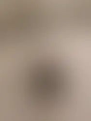 Rixu - ~6-kuune kassipoiss (Saku)