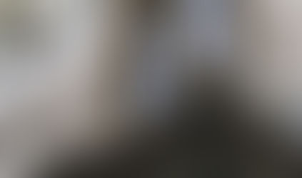 Волонтеры бьют тревогу: в Кивиыли продолжается жестокое обращение с животными!