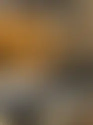 Kassipäästjad said endise hoolealuse kohta teate, mis oli südantlõhestav