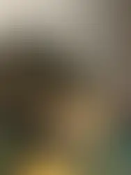 10-kilone kass üllatas loomapäästjaid: «Ristisime ta Lauda Cooniks»