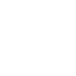 google (2).png