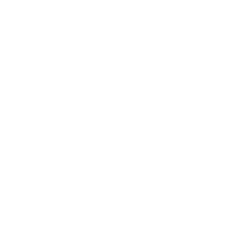 Five star Google review
