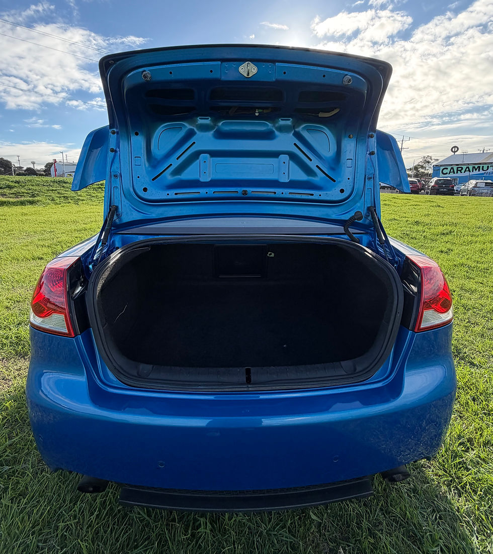 Thumbnail: HOLDEN COMMODORE SV6