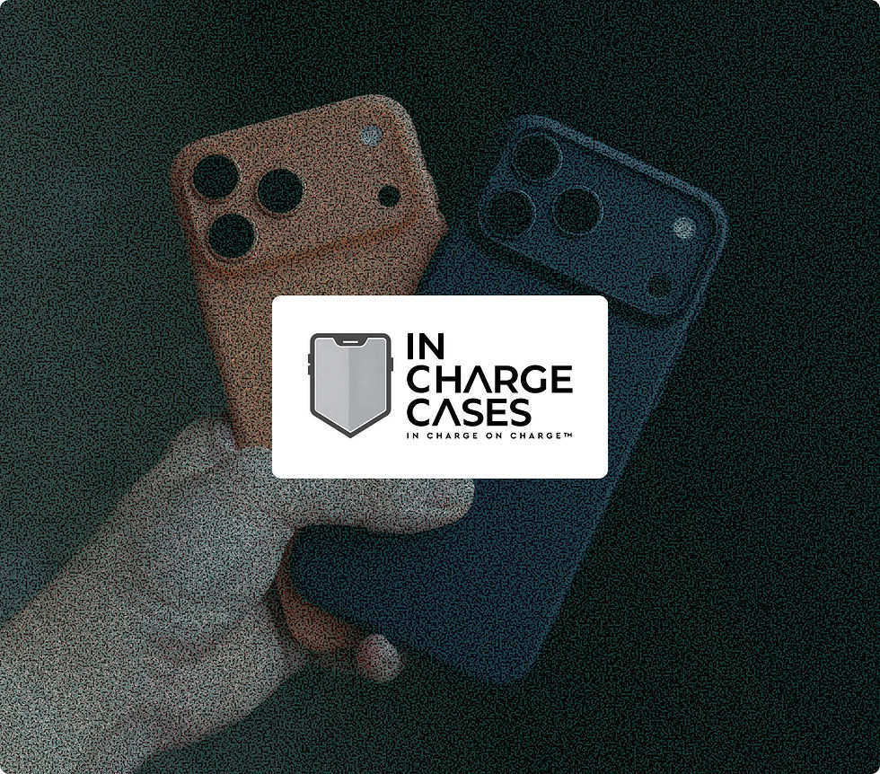 Building the Seed Deck and One-Pager for In Charge Cases' SWITCHD Raise